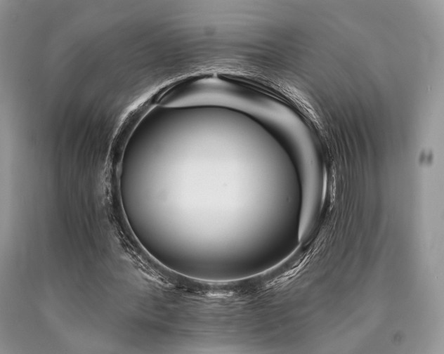 X0000090780388200707201528