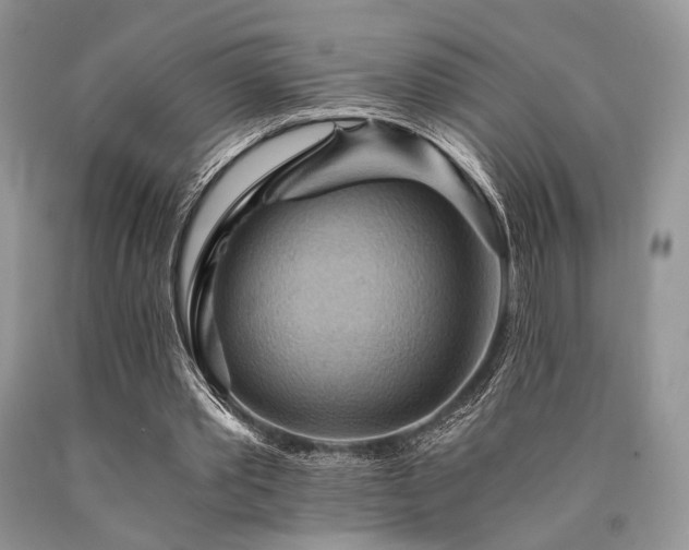 X0000090780389200707201528