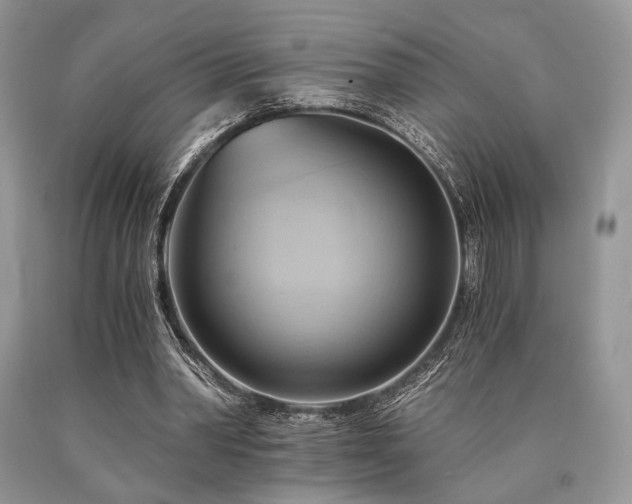 X0000090780390200707201528
