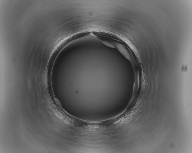 X0000090780391200707201528