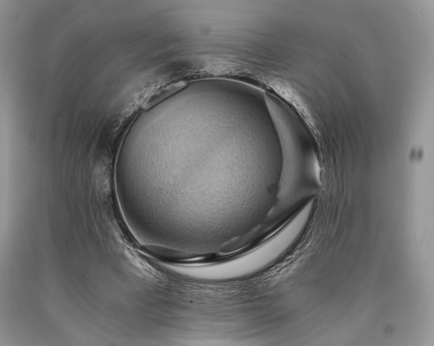 X0000090780393200707201528