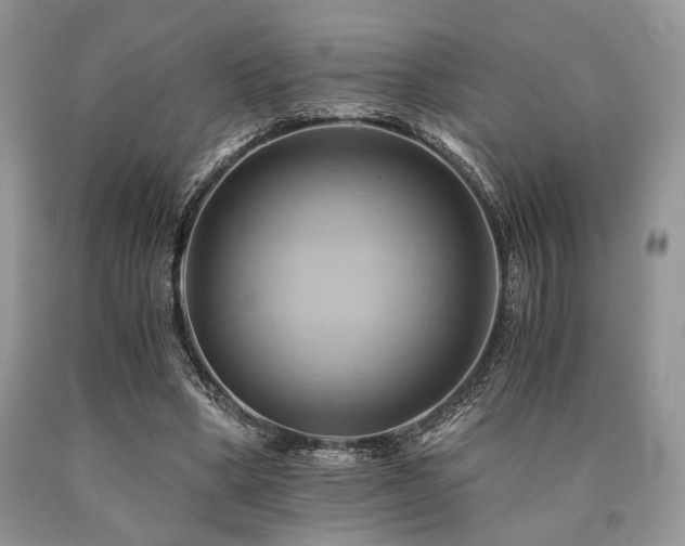 X0000090780394200707201528