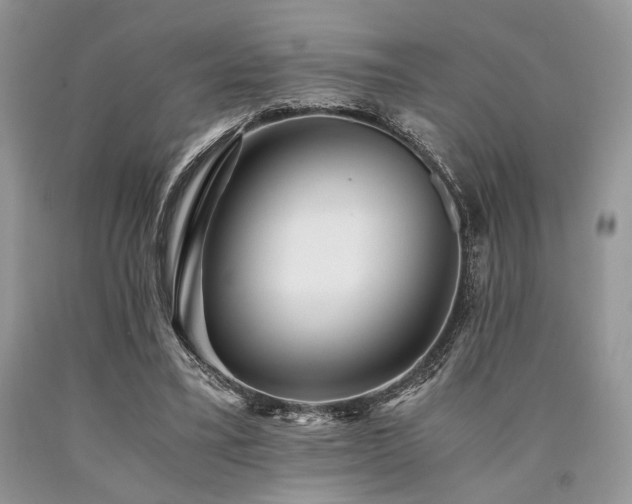 X0000090780395200707201528