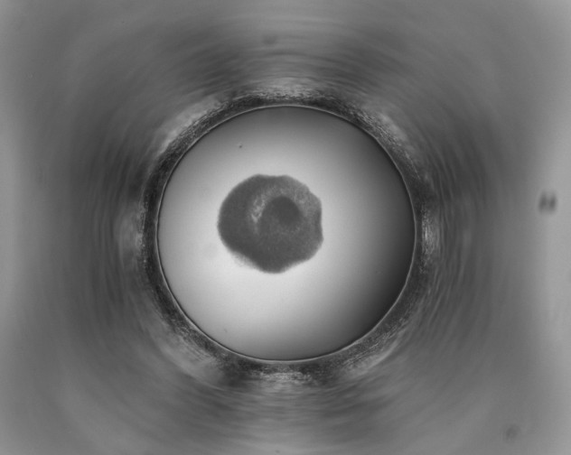 X0000090780396200707201528