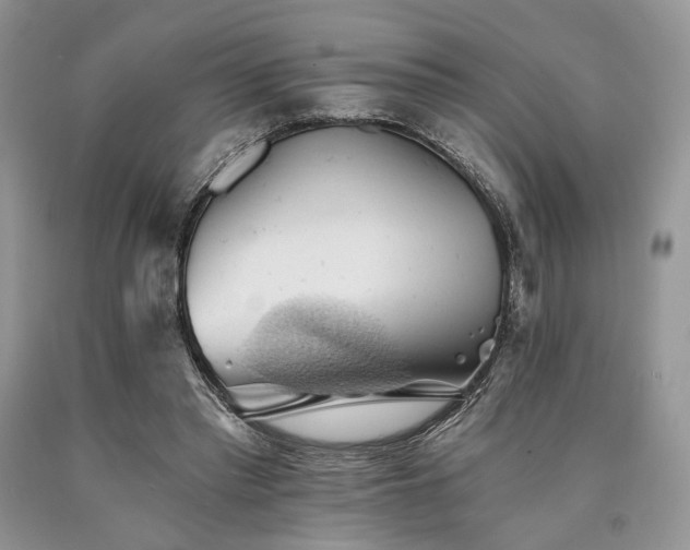 X0000090780397200707201528