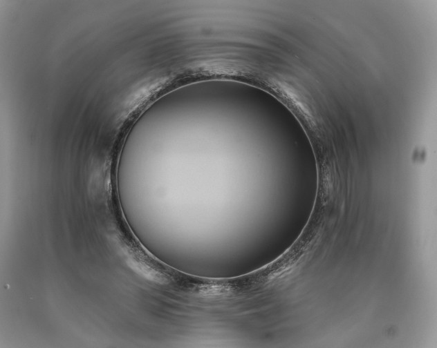 X0000090780398200707201528
