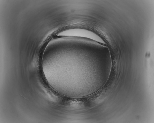 X0000090780400200707201528