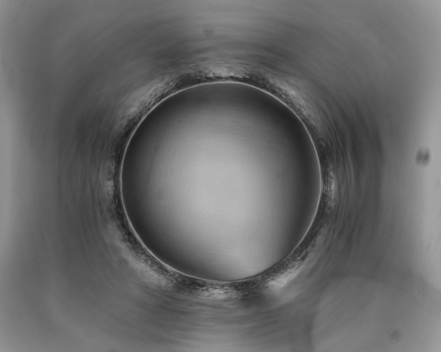 X0000090780402200707201528