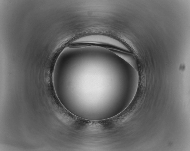 X0000090780403200707201528