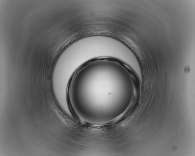 X0000090780405200707201528