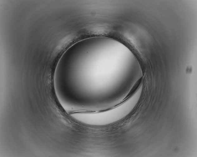 X0000090780407200707201528