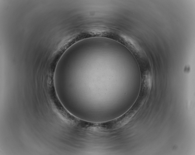 X0000090780408200707201528