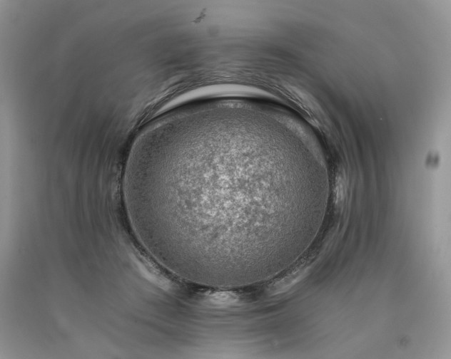 X0000090780409200707201528