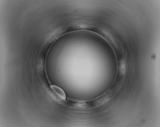X0000090780410200707201528