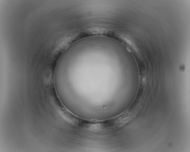 X0000090780411200707201528