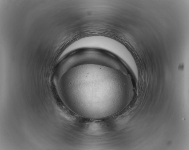 X0000090780412200707201528