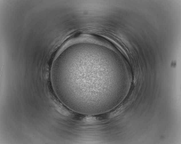 X0000090780413200707201528