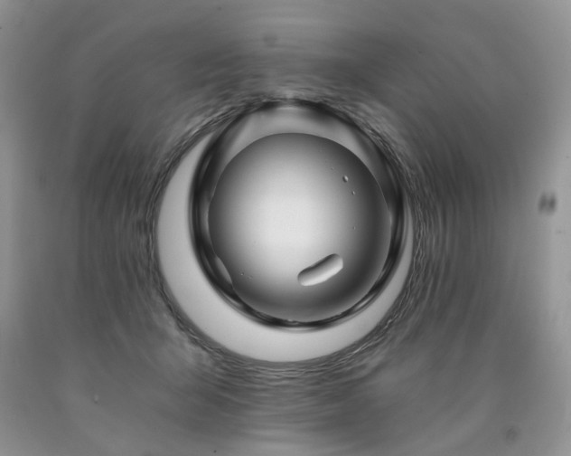 X0000090780415200707201528