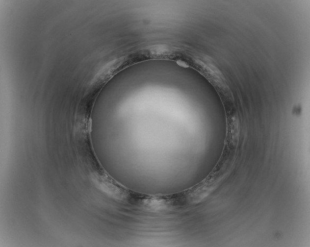 X0000090780419200707201527