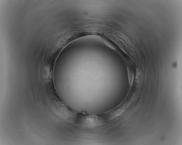 X0000090780420200707201527