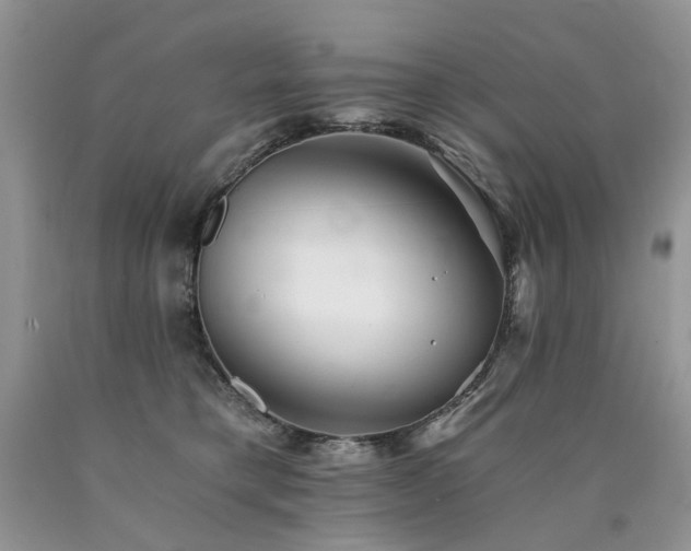 X0000090780421200707201527