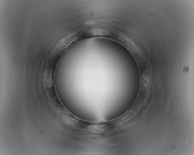 X0000090780422200707201527
