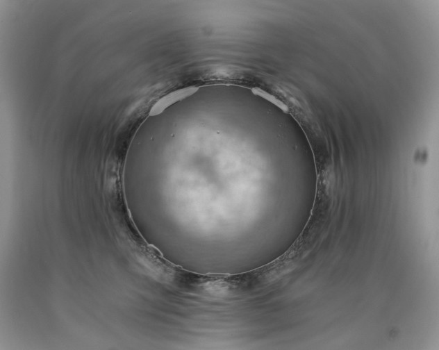 X0000090780423200707201527