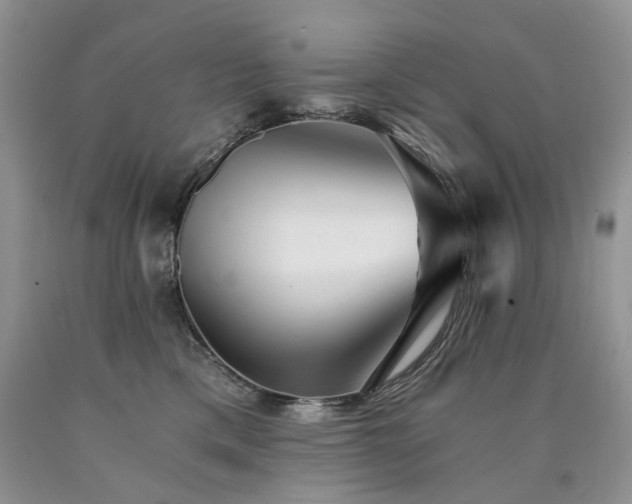 X0000090780425200707201527