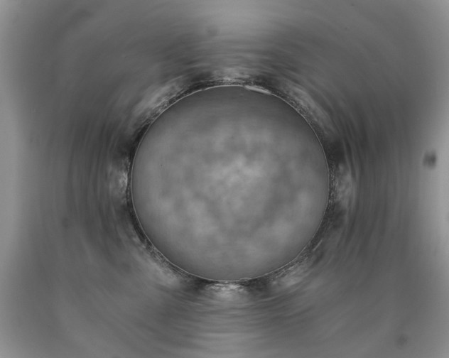 X0000090780427200707201527
