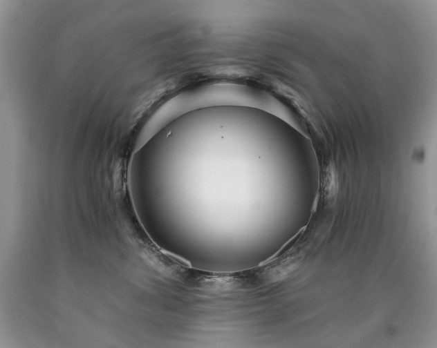X0000090780428200707201527