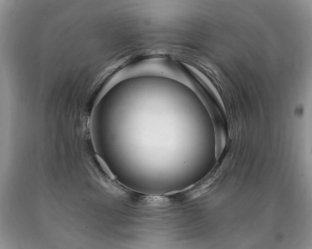 X0000090780429200707201527