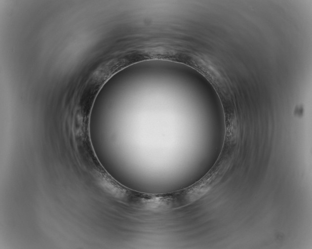 X0000090780430200707201527
