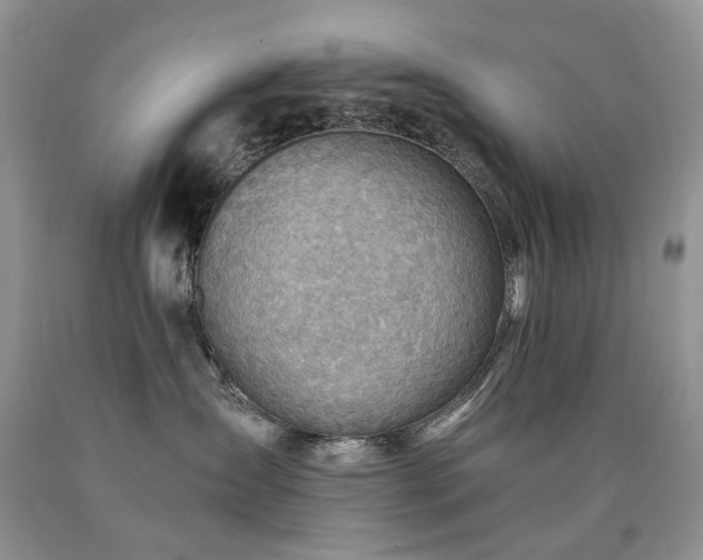 X0000090780431200707201527