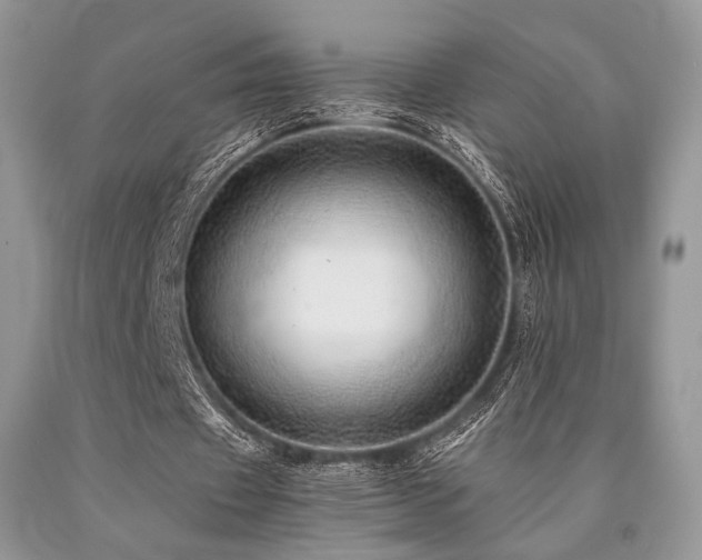 X0000090780433200707201527