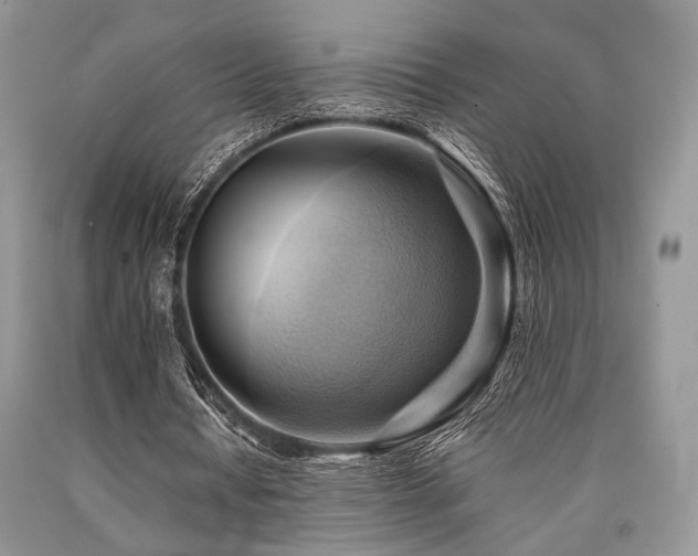 X0000090780434200707201527