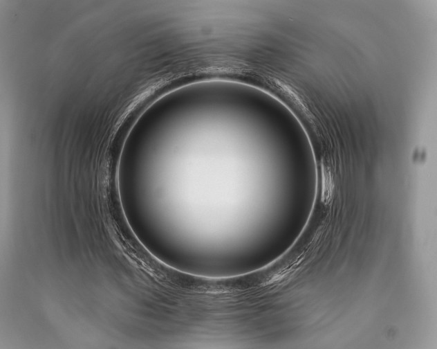 X0000090780435200707201527