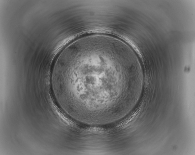 X0000090780437200707201527