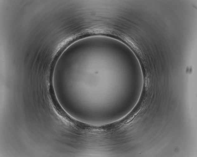 X0000090780438200707201527