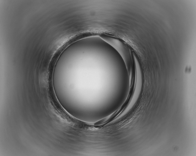 X0000090780440200707201527