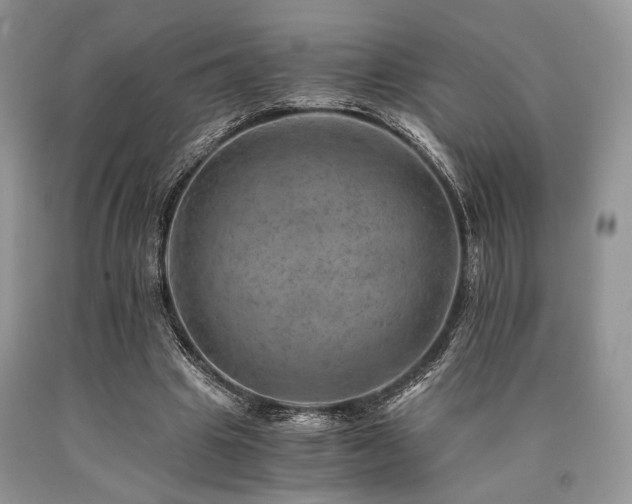 X0000090780441200707201527