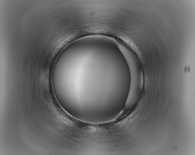X0000090780442200707201527