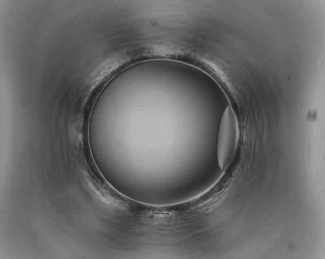 X0000090780443200707201527