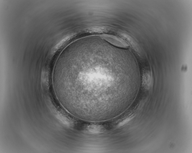 X0000090780444200707201527