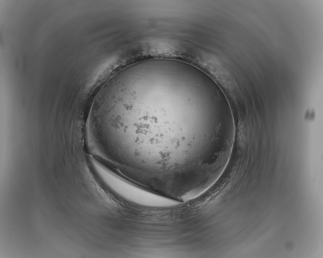 X0000090780449200707201527