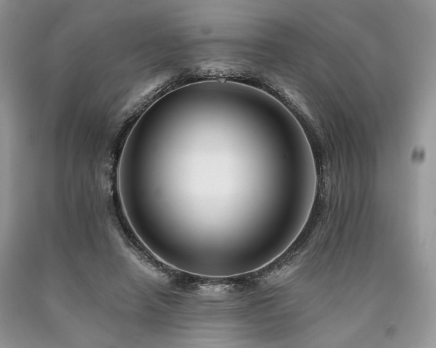 X0000090780450200707201527