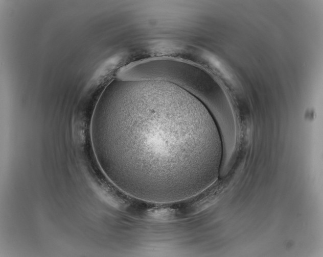 X0000090780452200707201527
