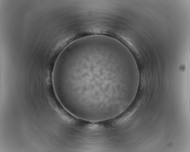 X0000090780453200707201527