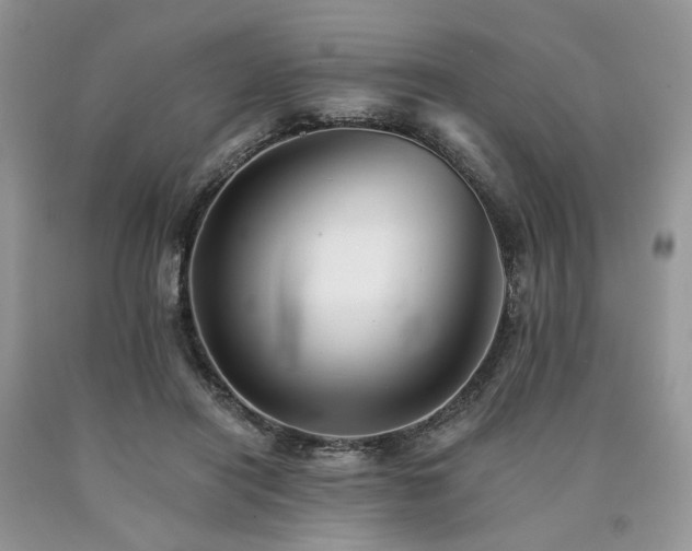 X0000090780454200707201527