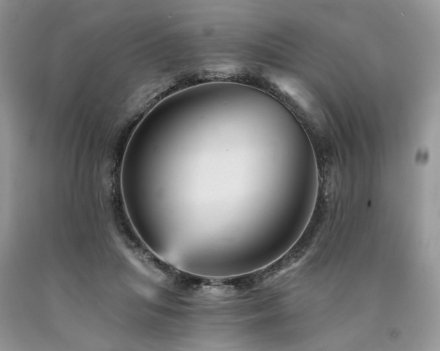X0000090780455200707201527