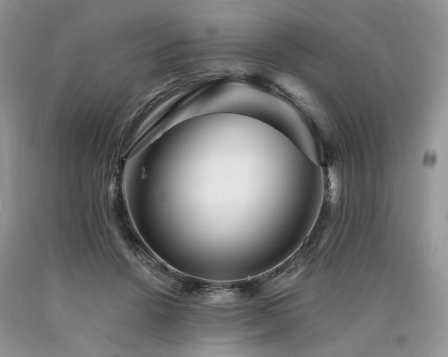 X0000090780456200707201527